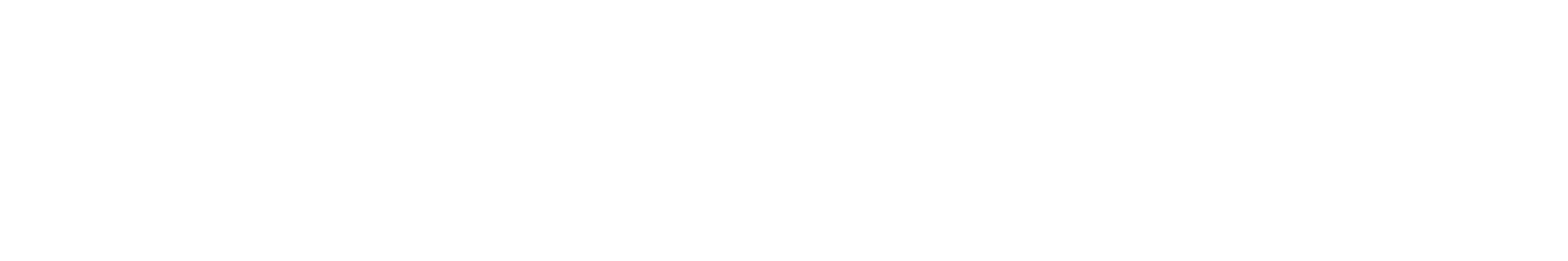 BearingPoint_Logotype_White_RGB